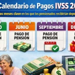 Calendario de Pagos IVSS 2026: Los Meses Clave en los que los Pensionados Recibirían Depósitos